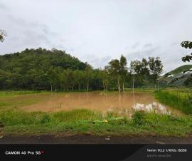 Ladang Warga Bulak Jati Tergenang Air